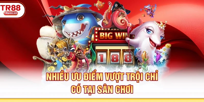 Nhiều ưu điểm vượt trội chỉ có tại sân chơi