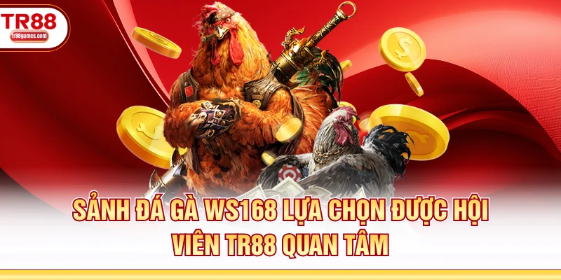 Sảnh Đá Gà WS168